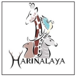 Screenshot_18-6-2024_73830_